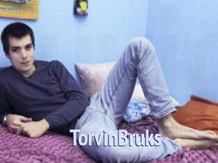 TorvinBruks