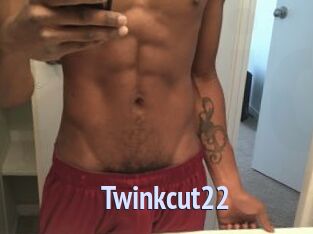 Twinkcut22