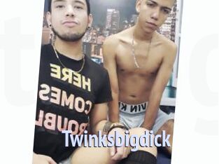 Twinksbigdick