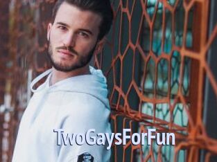 TwoGaysForFun