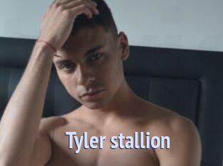 Tyler_stallion