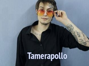 Tamerapollo