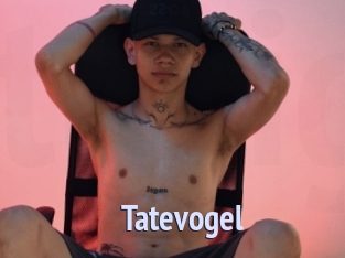 Tatevogel