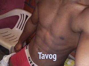 Tavog