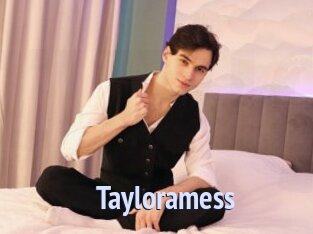 Tayloramess
