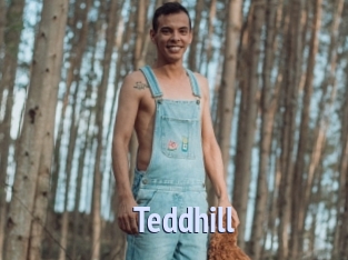 Teddhill