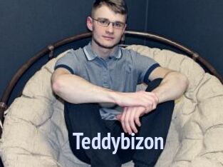Teddybizon