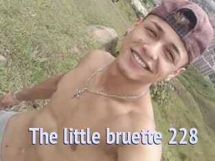 The_little_bruette_228