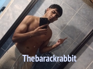 Thebarackrabbit