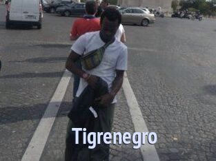 Tigrenegro