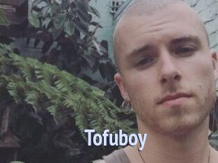 Tofu_boy