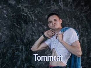 Tommcat