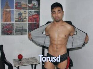 Torusd