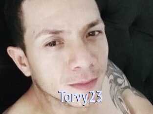 Torvy23