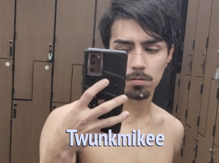 Twunkmikee