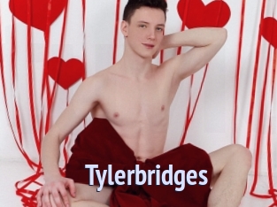 Tylerbridges