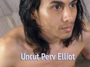 Uncut_Perv_Elliot