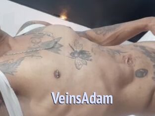 VeinsAdam