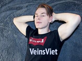 VeinsViet