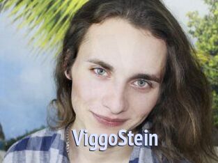 ViggoStein