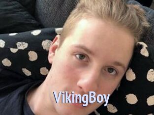 VikingBoy
