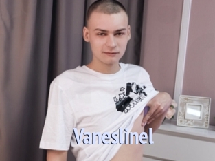 Vaneslinel