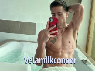 Velamiikconoor
