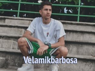 Velamikbarbosa