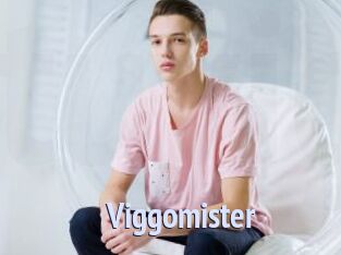 Viggomister