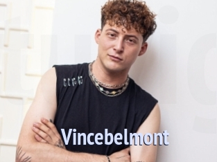 vincebelmont Tube video gay