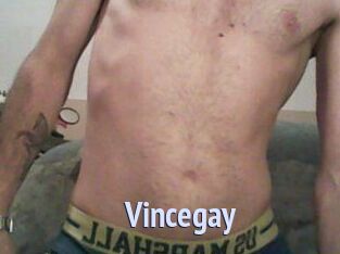 Vincegay
