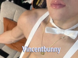 Vincentbunny