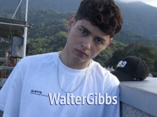 WalterGibbs Tube video gay