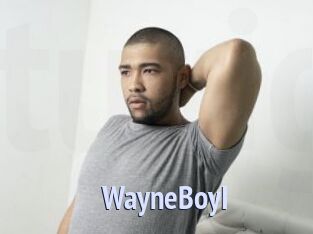 WayneBoyI