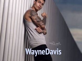 WayneDavis