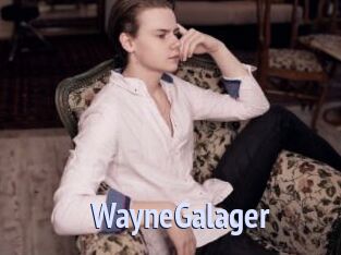WayneGalager