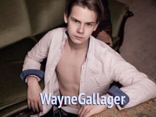 WayneGallager