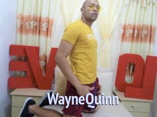 WayneQuinn