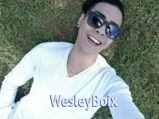 Wesley_Boix