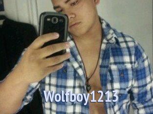 Wolfboy1213