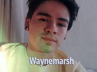 Waynemarsh