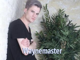 Waynemaster