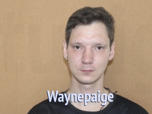Waynepaige