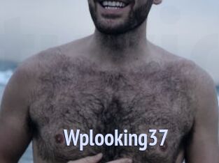 Wplooking37