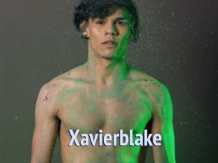 xavierblake Tube video gay
