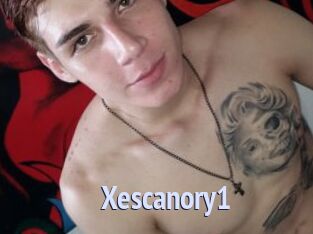 Xescanory1
