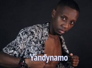 Yandynamo