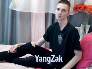 YangZak