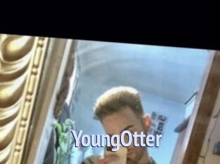 YoungOtter