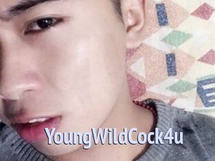 YoungWildCock4u
